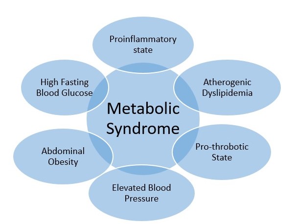 ketogenic diet for metabolic syndrome